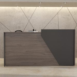 Recepción Toulouse